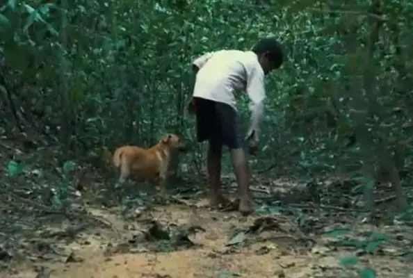 The little boy took the dog up the hill and suddenly the dog got caught up in a snake