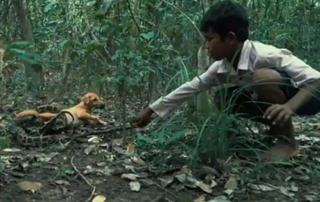 The little boy took the dog up the hill and suddenly the dog got caught up in a snake