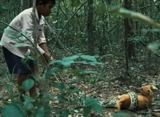 The little boy took the dog up the hill and suddenly the dog got caught up in a snake