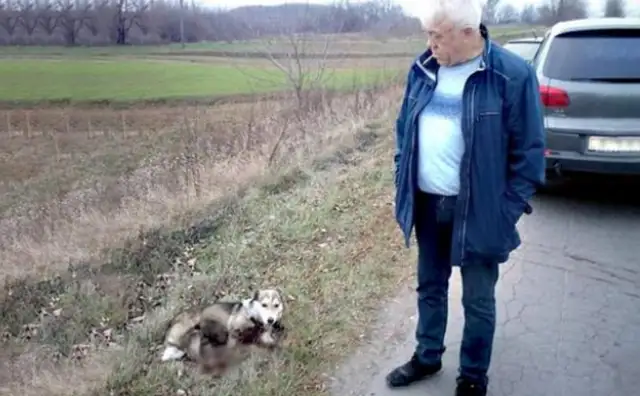 In order to punish the dog, the owner dragged the dog for miles, and the whole road was covered in blood