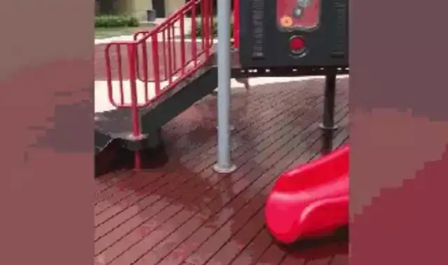 Blondie can't play the slide. The master pretends to faint. The dog goes up and saves the master
