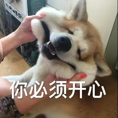 Why do dogs groan? Did I lose it