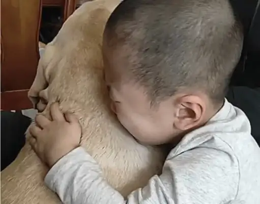 The dog ran away for 24 hours, and when he came back, the baby jumped up and made his parents cry