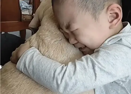 The dog ran away for 24 hours, and when he came back, the baby jumped up and made his parents cry