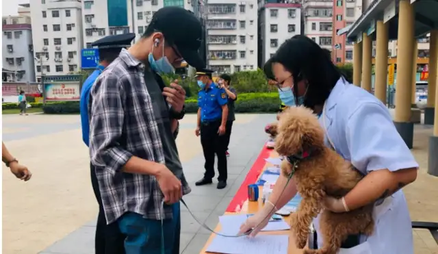 Since November, dogs have not been given a chip to be considered as unlicensed dogs, and pet doctors have stated that there is a very low probability of an alienation
