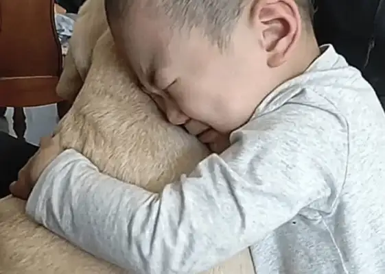 The dog ran away for 24 hours, and when he came back, the baby jumped up and made his parents cry
