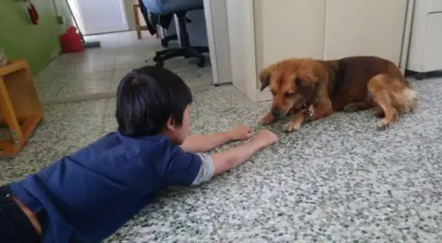 Boys go to school dogs every time they're finished, and they act like they're idols