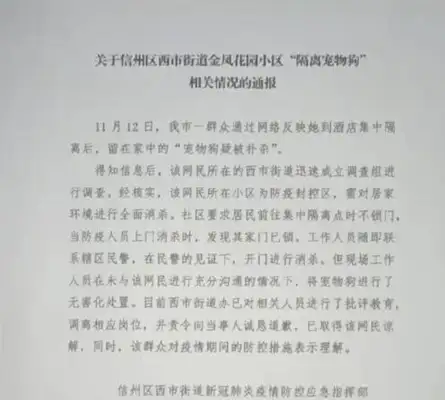 "The pet dog is suspected of being killed while the owner is isolated." Late at night