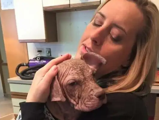 From an ugly hairless puppy to a strong dog, it's the sense of accomplishment of relief