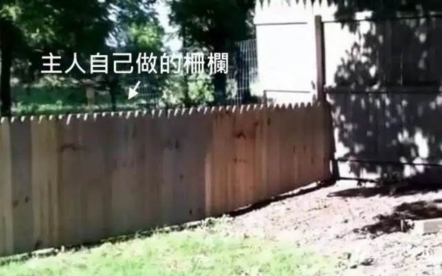 The master show built the fence and the dog hit him in the face