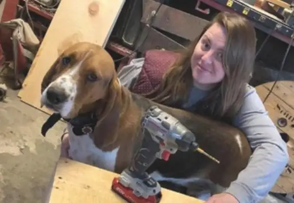 The abandoned dog ran into someone to take him in