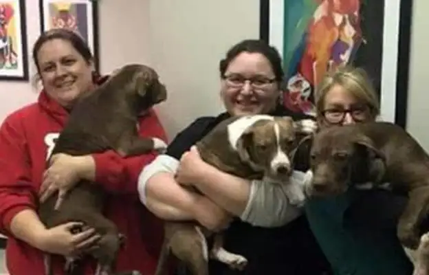 From an ugly hairless puppy to a strong dog, it's the sense of accomplishment of relief