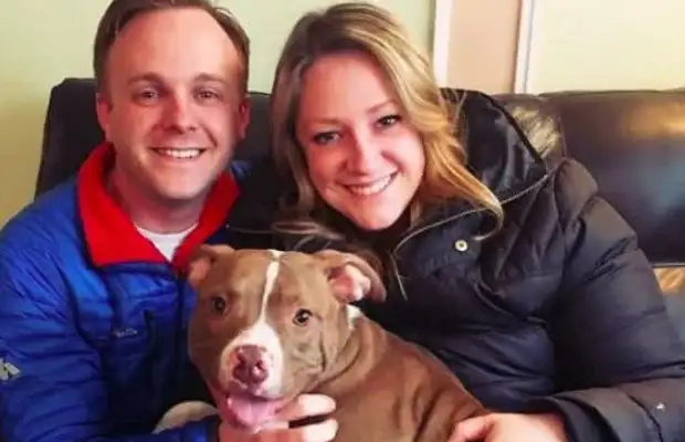 From an ugly hairless puppy to a strong dog, it's the sense of accomplishment of relief