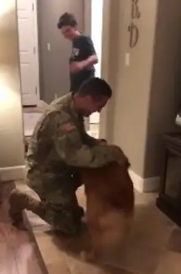 The dog thinks he's playing boring again