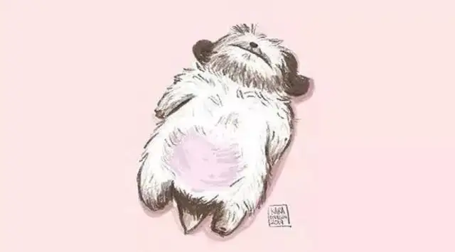 Remember the dog who liked "The Little Man Lies"? He's grown up