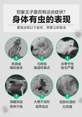 Pet parasitic knowledge, type, hazard behaviour, etc