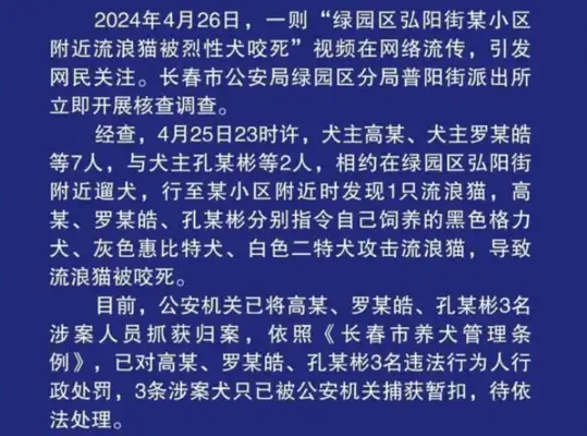 The stray cat was bitten by a strong dog. The Changchun police report: Three dogs are punished