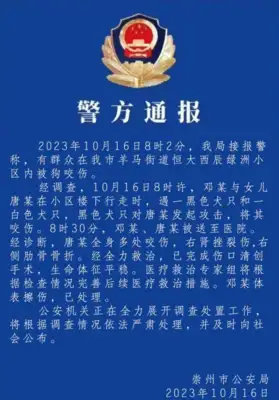 Zong media commented that the girl had been bitten: the owner of the Lovina dog must be brought to justice