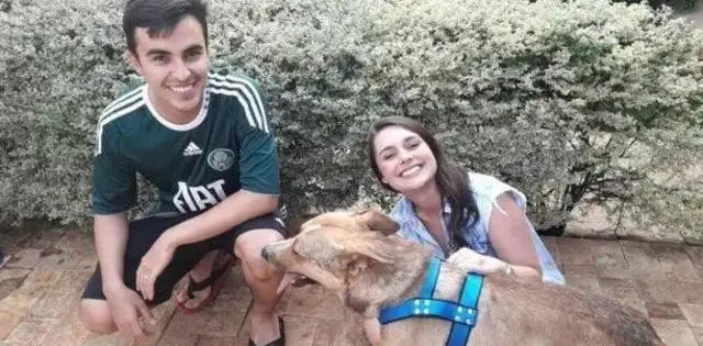The bride's groom was so warm when the stray dog was expelled from the wedding scene