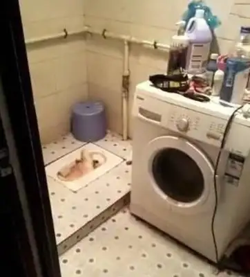 After Samoye's whereabouts, he couldn't find anywhere. After looking for it, master: The dog didn't really want it