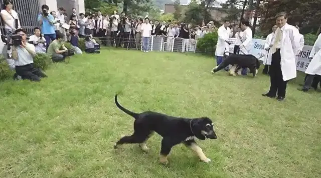 The first police officer was equipped with a replica of his dog, Koon-hoon, who became a “national civil servant” through training and announced his new service