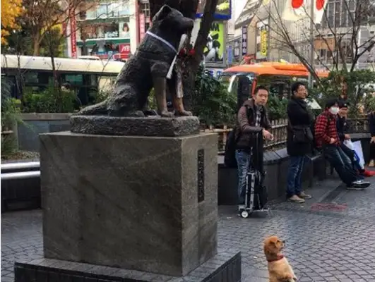 The dog happens to be with his wife