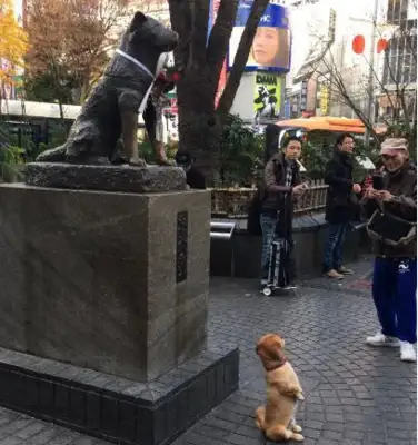 The dog happens to be with his wife