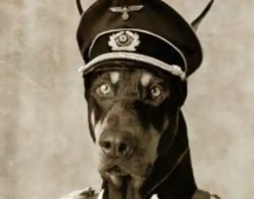 The legend was born in Hitler's lab, but it's been built for the United States army and is remembered by the statue