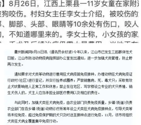 Question and answer with a girl with a dog in her hands: Direct assault, rabies. People