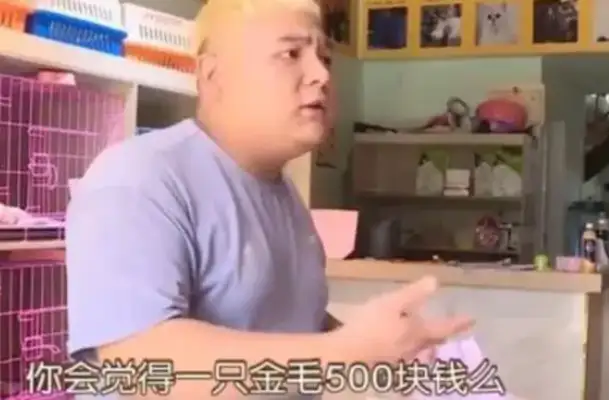 500 bucks for a golden fur dog