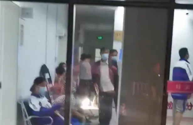 Yellow dogs bite on the streets, the wounded take care of themselves, the police are catching dogs, hospitals: about 70 people were bitten