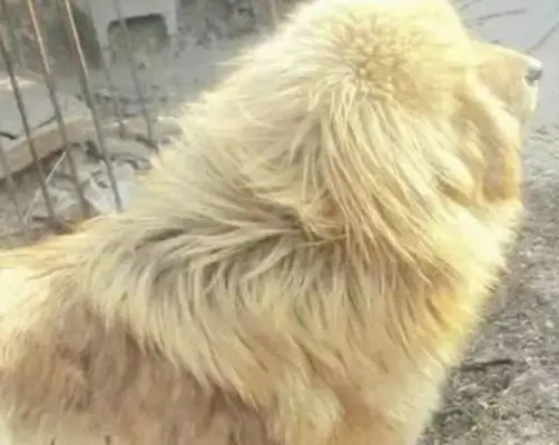 It's a shocking first sight, and the crowd wants to adopt it!