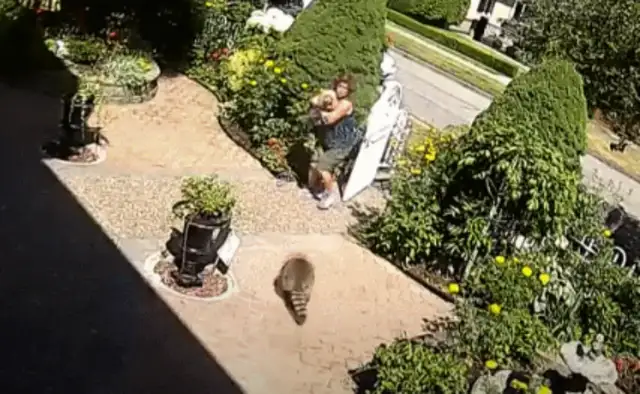 Shit! Canadian girls walk their dogs home and get bit by a bunch of raccoons