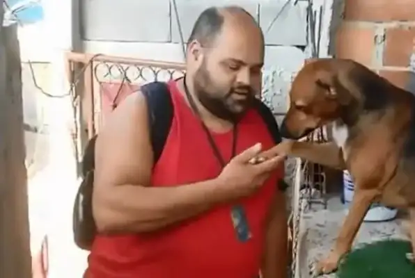 Every day a stray dog crouchs at a roadblock and expects a hug