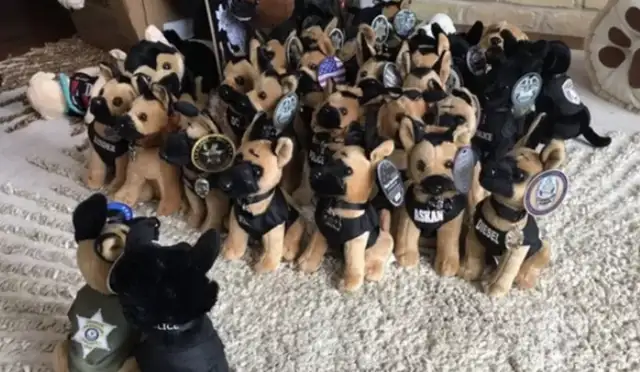 There's more than 40 dogs at the door and a lot of cops coming for a girl