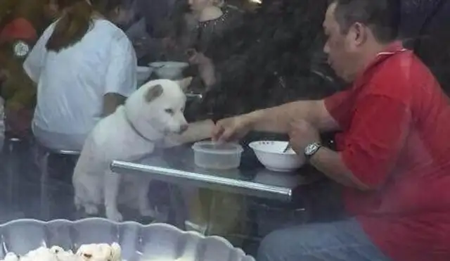 The restaurant refused the dog to eat at the table, causing the customer to get angry. Is the restaurant entitled to refuse