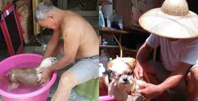 He says he hates dogs. He loves dogs