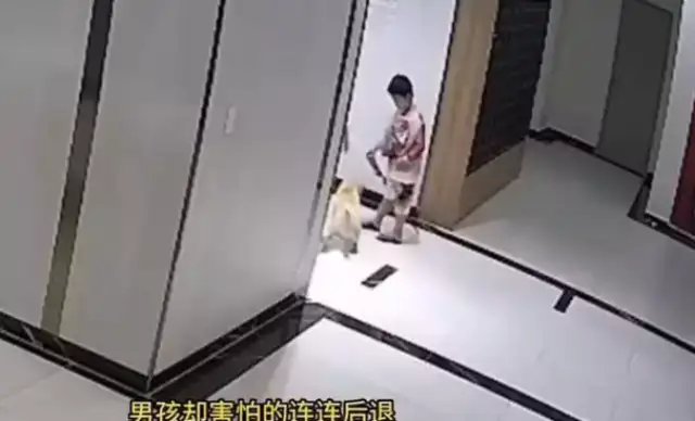 DAD KICKED A DOG WITHOUT A LEASH TO PROTECT HIS SON