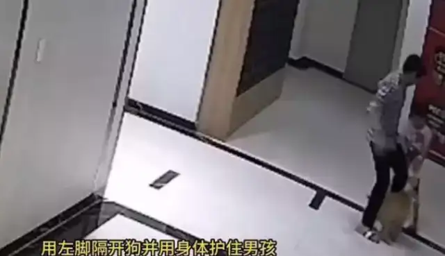 DAD KICKED A DOG WITHOUT A LEASH TO PROTECT HIS SON