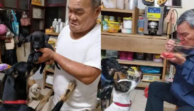 He says he hates dogs. He loves dogs