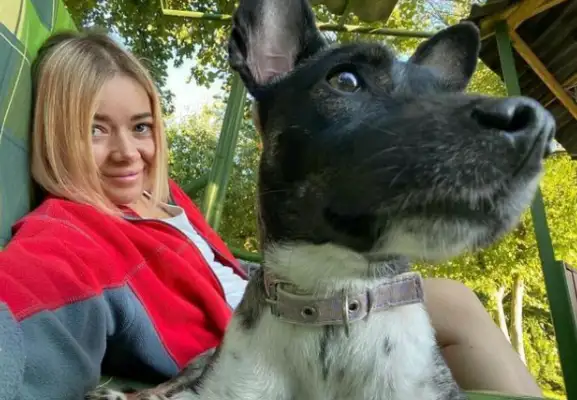 Took a dog on a plane, went missing without anyone telling me