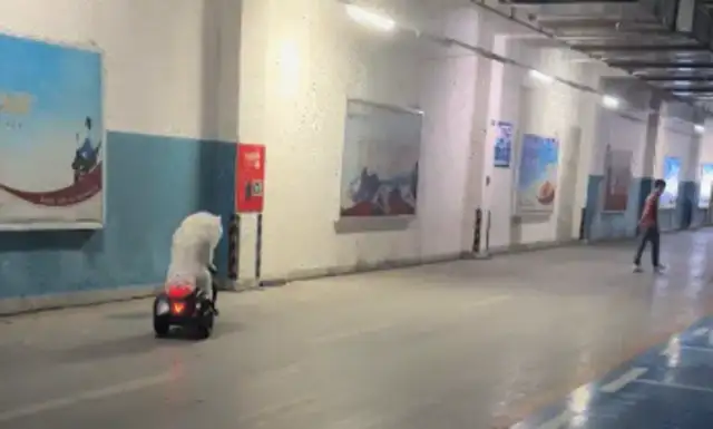 When a man meets Samuel on an electric toy, a dog not only brakes, but also turns. Bend
