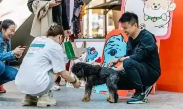 It's the opening of the first pet carnival in Puthart
