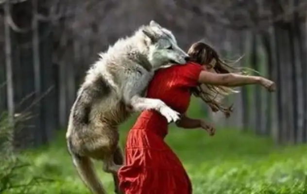 The woman fights with the owner of the dog. The dog rips his pants off: Marseek is no longer useful