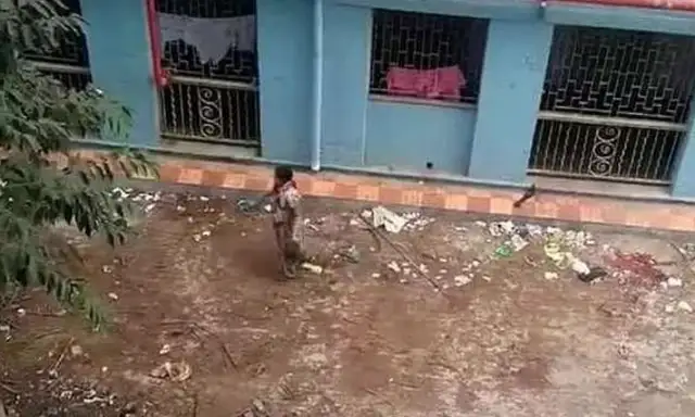 Two nursing girls in India killed 16 pups and killed desperate dogs..