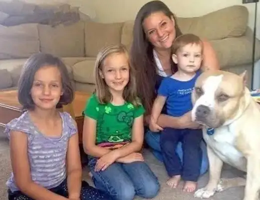 When the cat doesn't notice, the dog hits five cats