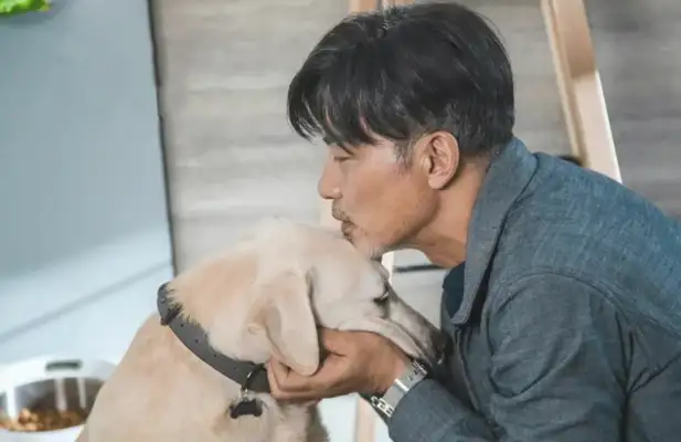 The dog's been crying about it. She's waiting for her master to pick it up