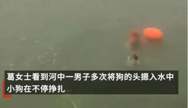 Anhui, a man who's been suffocating his dog in the river many times
