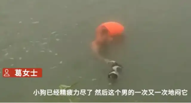 Anhui, a man who's been suffocating his dog in the river many times