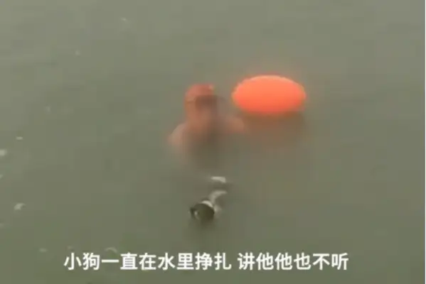 Anhui, a man who's been suffocating his dog in the river many times